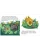 6060504918.webp