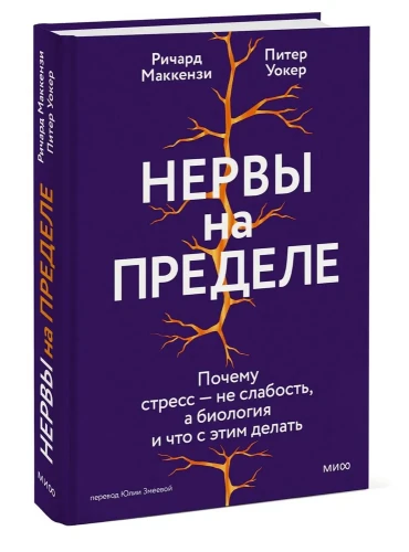 8100041013.jpg