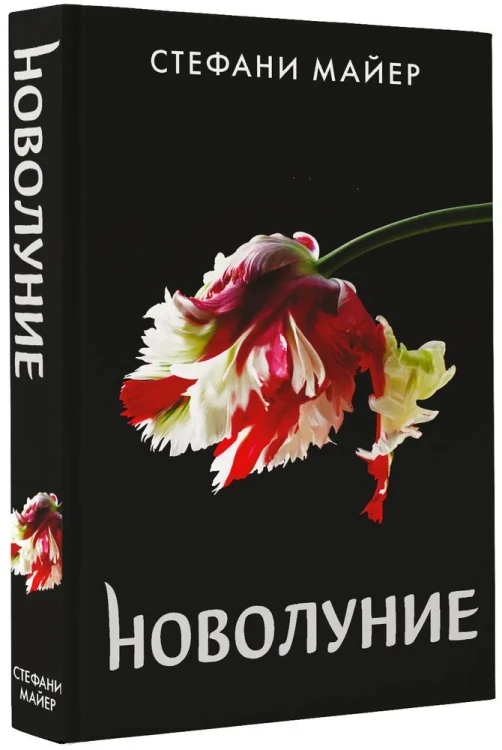 6709782156.jpg