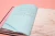Rattus_Sapiens_5.webp