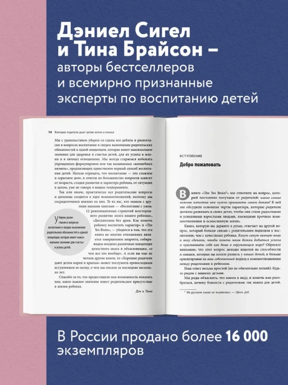 7249180041.jpg
