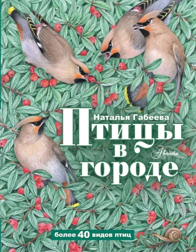 Птицы_в_городе_1.webp