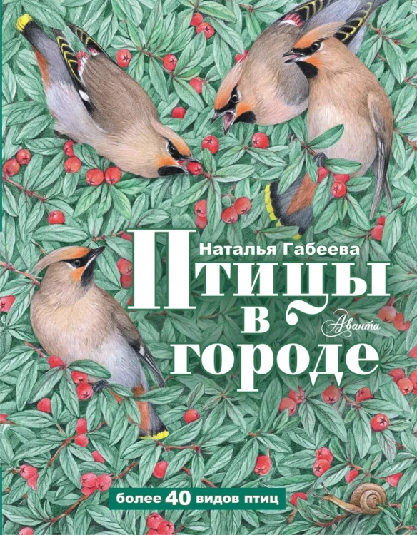 Птицы_в_городе_1.webp