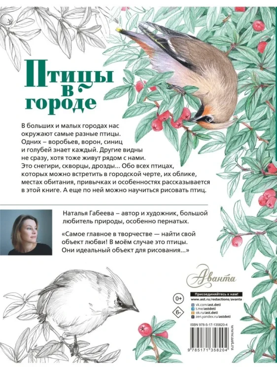 Птицы_в_городе_2.webp