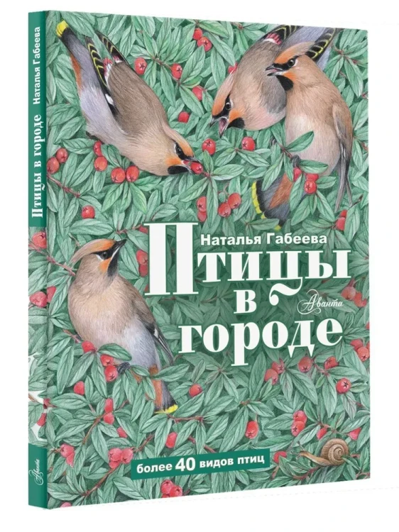 Птицы_в_городе_3.webp