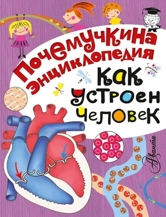Как_устроен_человек_1.webp