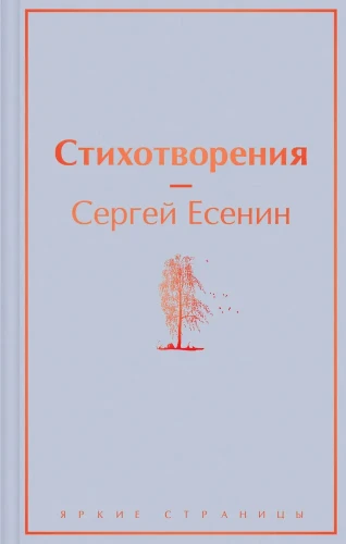 7608602924.jpg