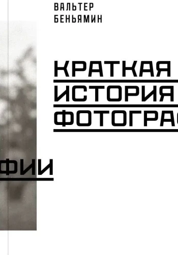 8642694447.jpg