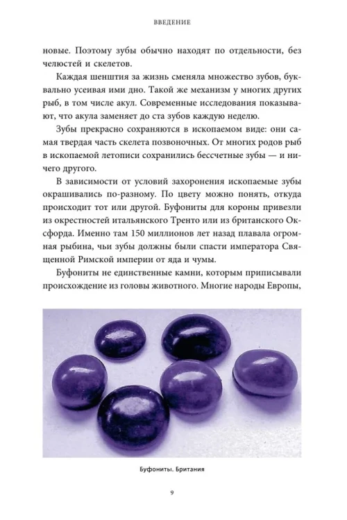 7435424378.jpg