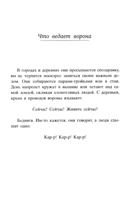 7473297299.jpg