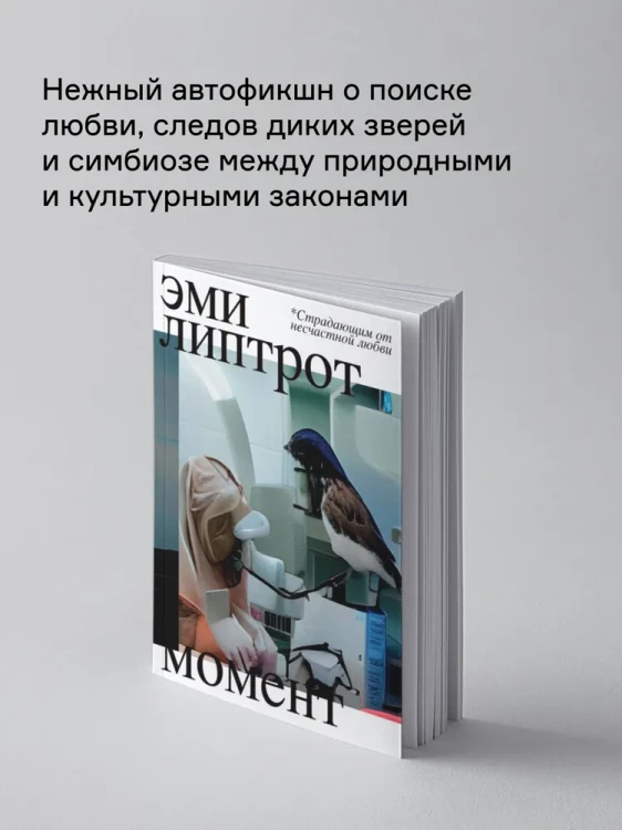 8006851715.jpg