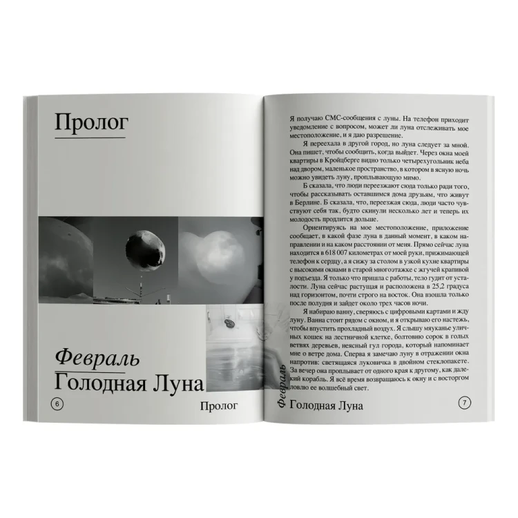 7208193288.jpg
