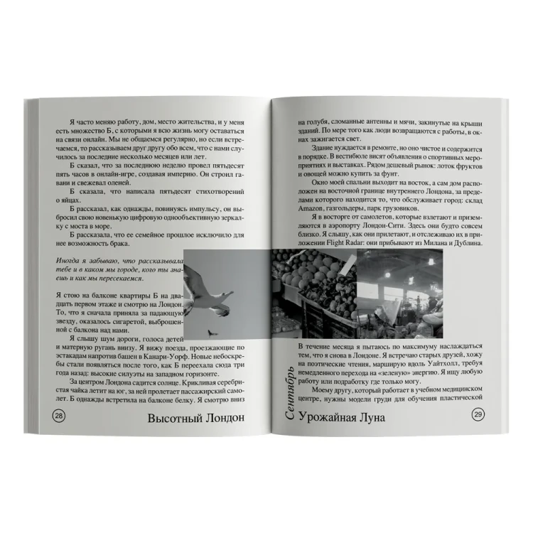 7208193240.jpg