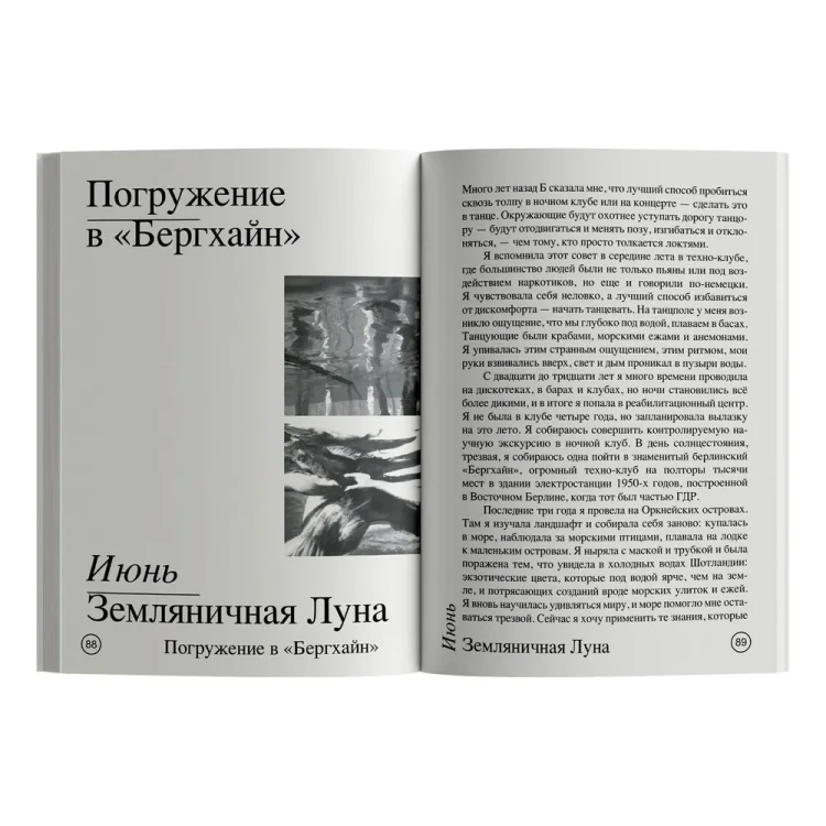 7208193531.jpg