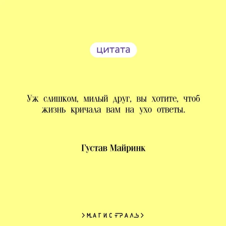 7162174512.jpg