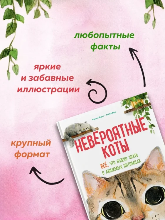 8113058142.jpg