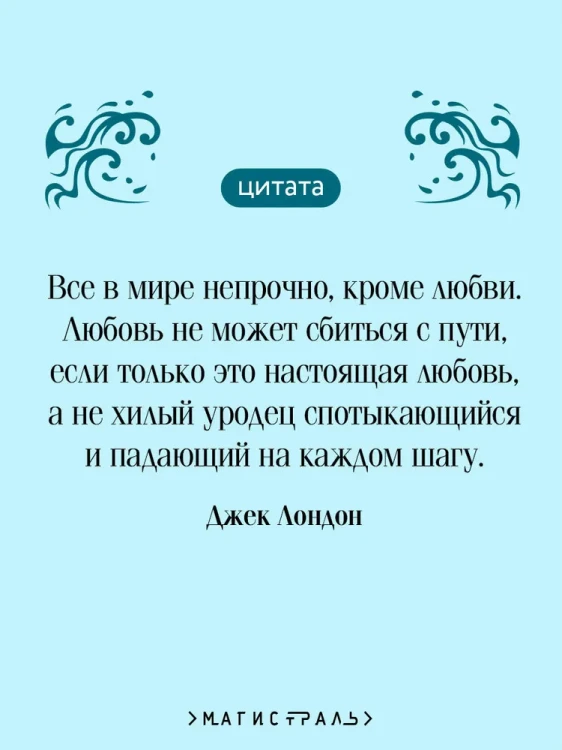 7304115588.jpg