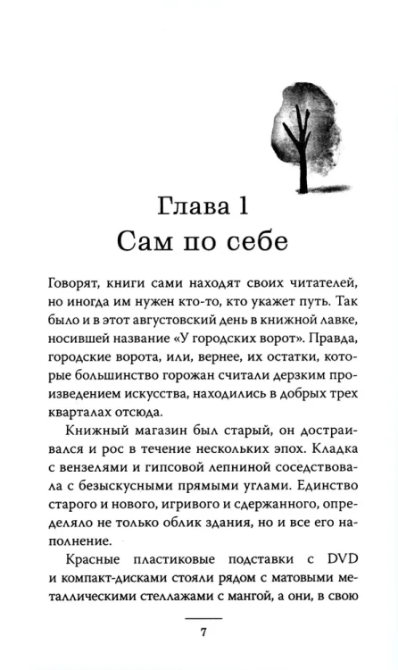 9028804537.jpg