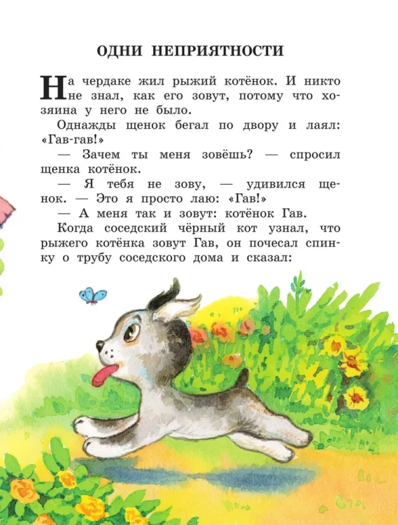 8772568115.jpg