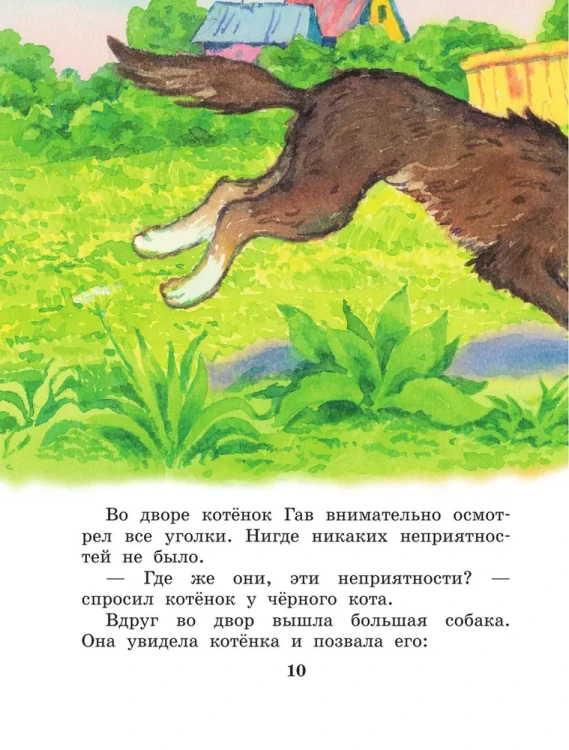 8772568142.jpg