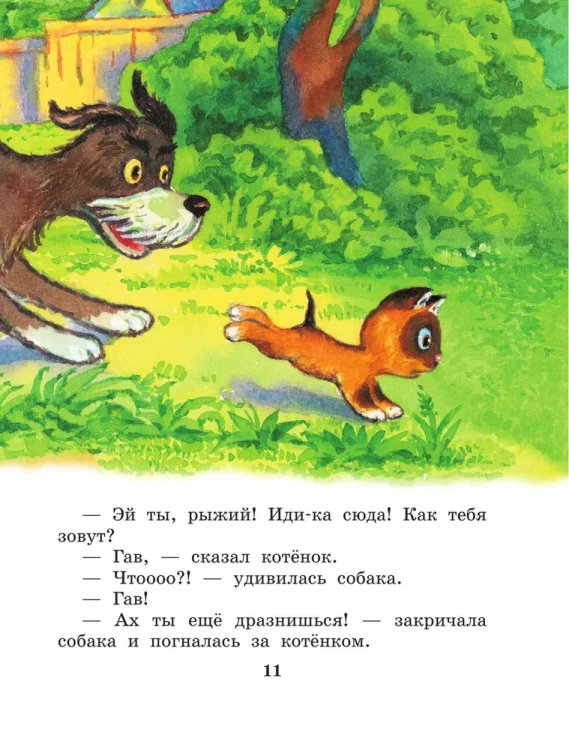 8772568077.jpg