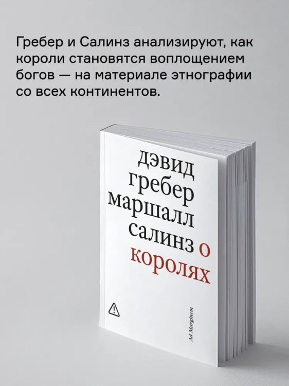 8198096491.jpg