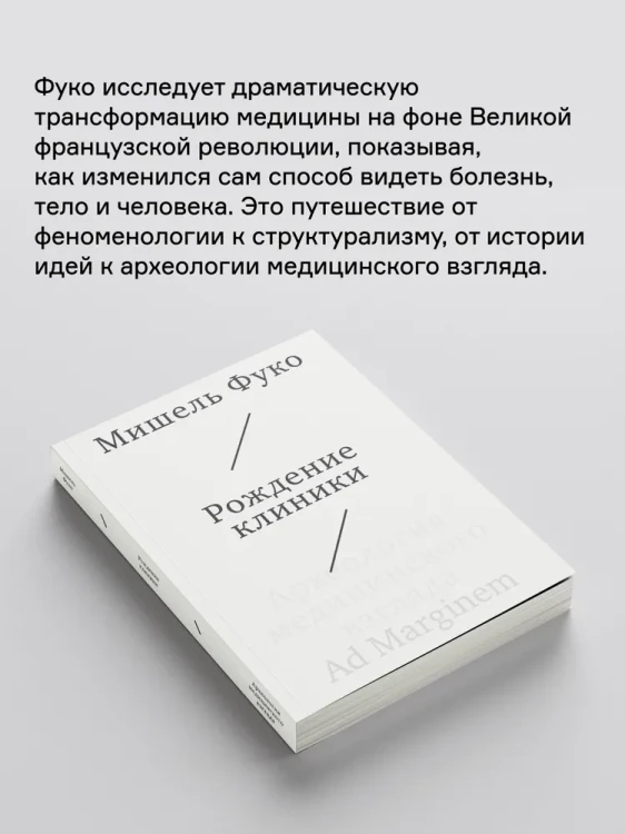 8117898979.jpg