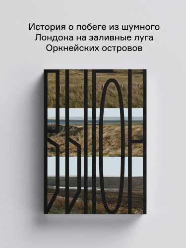 8006845867.jpg