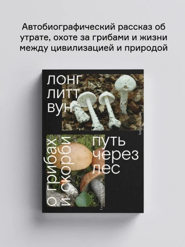 8006820013.jpg