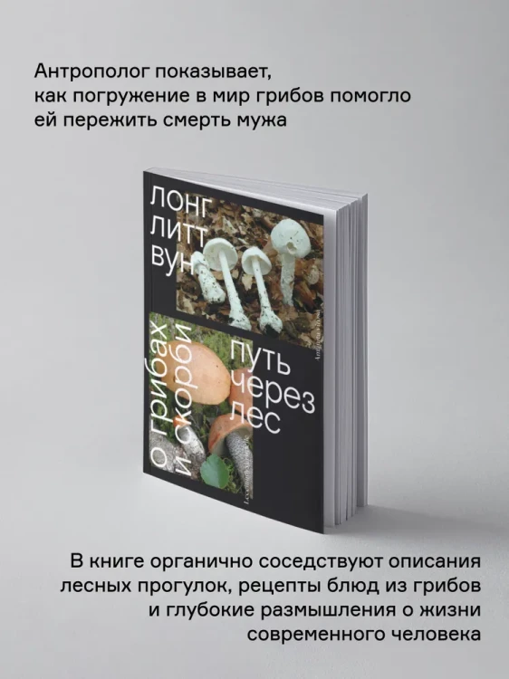 8006819689.jpg