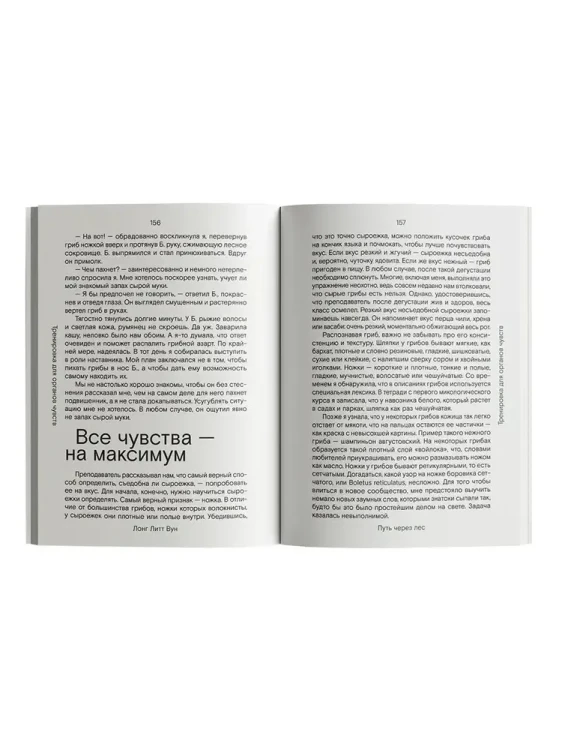 7304089054.jpg