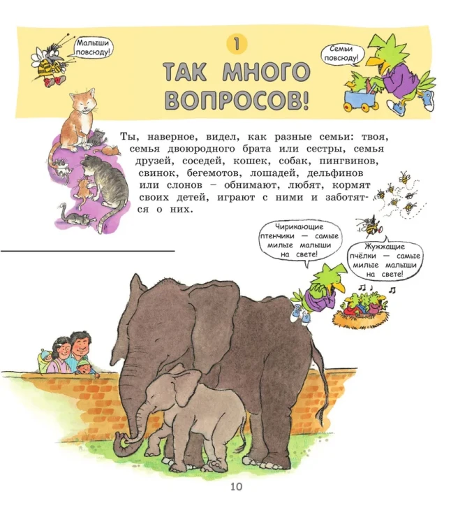 7702989736.jpg