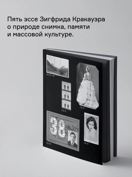 8198048783.jpg