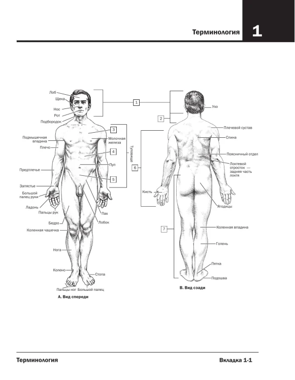 7199327344.jpg