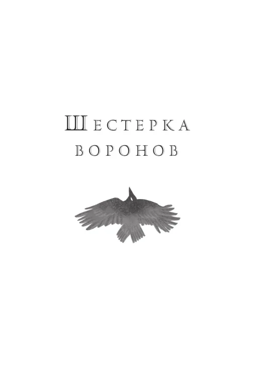 8816653969.jpg