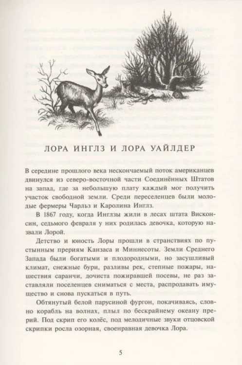 7718016019.jpg