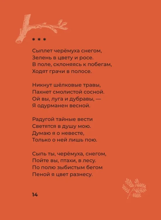 7832808902.jpg