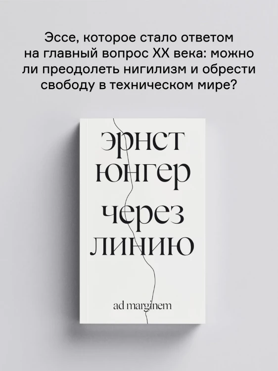 8375222748.jpg