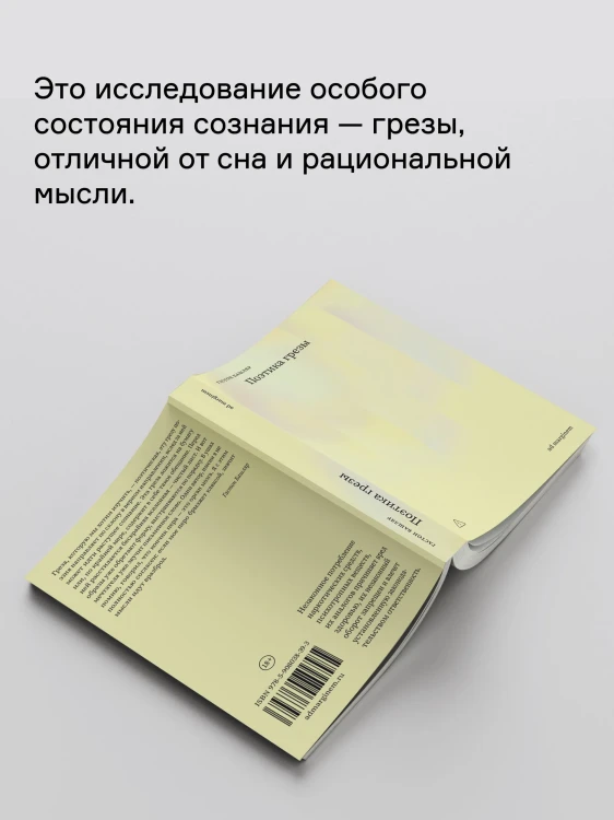 8595960456.jpg