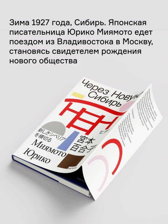 8805356857.jpg