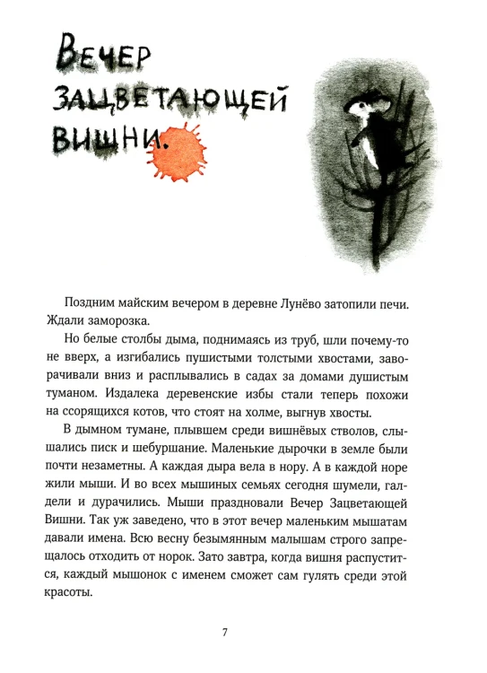 7291554270.jpg