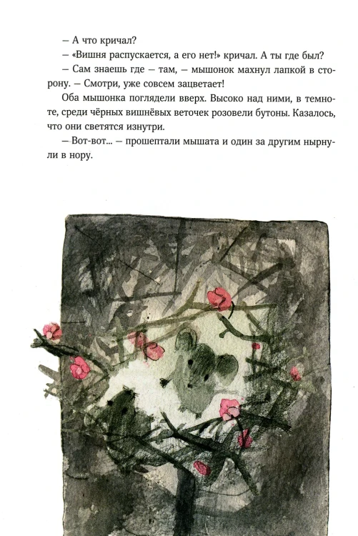 7291554305.jpg