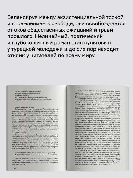8856285716.jpg