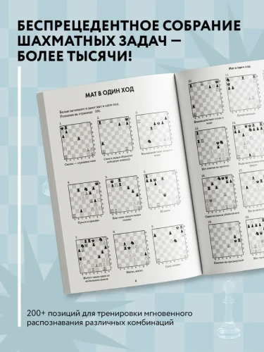 6601398017.jpg