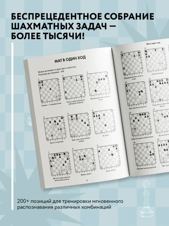 6601398017.jpg