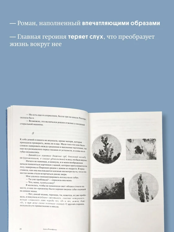 9088334493.jpg