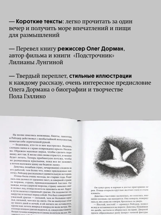 9088391954.jpg
