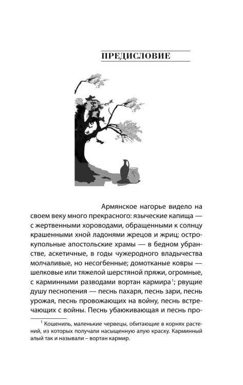 7187406622.jpg