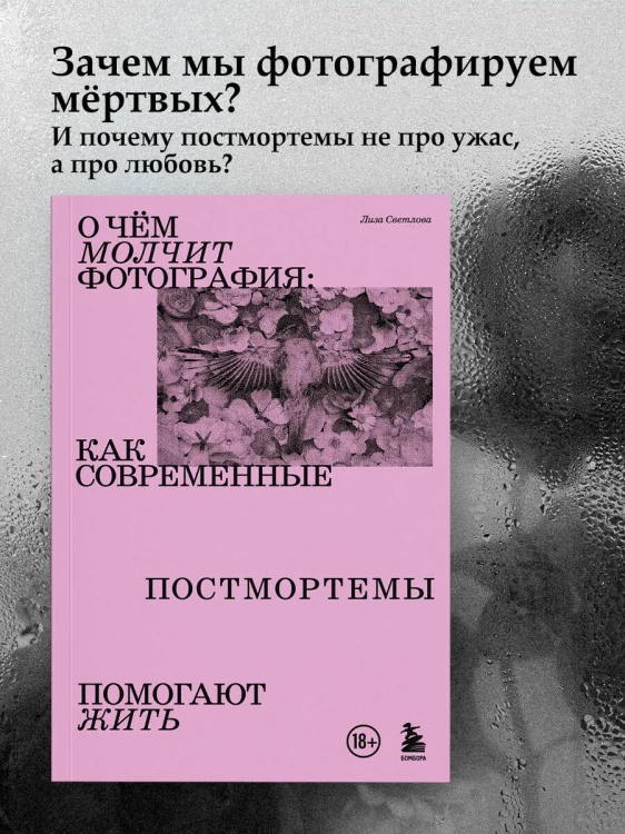 7247716067.jpg