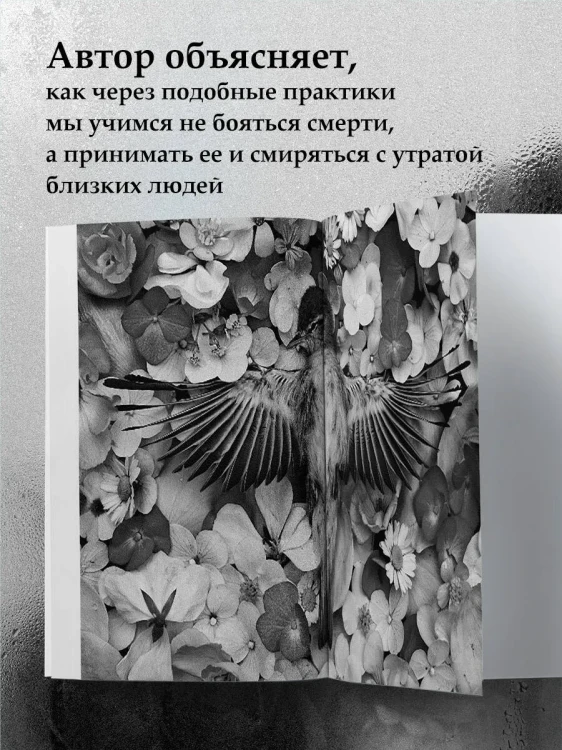 7247716071.jpg